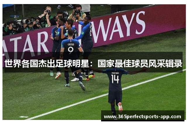 世界各国杰出足球明星：国家最佳球员风采辑录