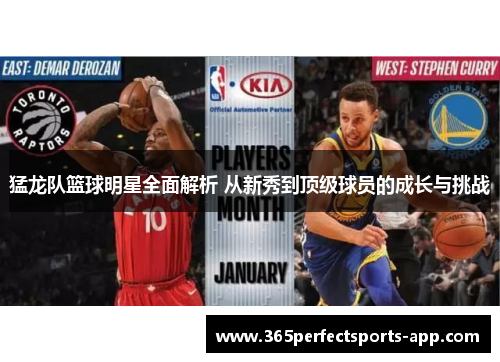 猛龙队篮球明星全面解析 从新秀到顶级球员的成长与挑战